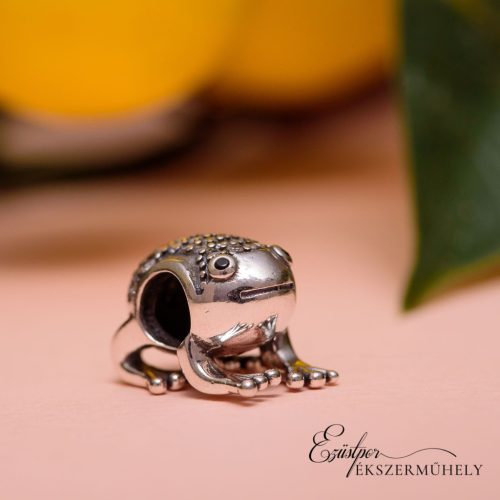 Ezüst charm